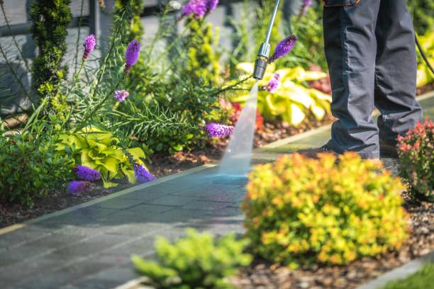 Best Sidewalk and Walkway Cleaning  in National City, CA