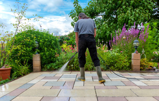 Best Driveway Pressure Washing  in National City, CA